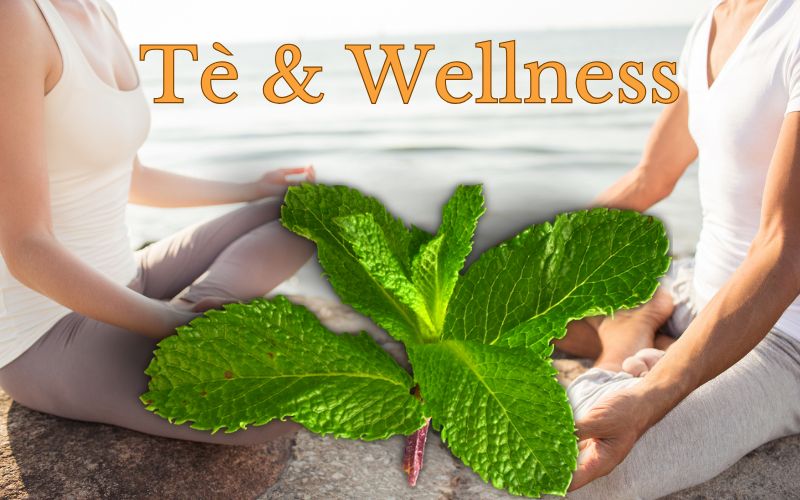 Tè e Wellness per le donne da Natura da Bere Immagine di tè per le donne che stanno facendo yoga
