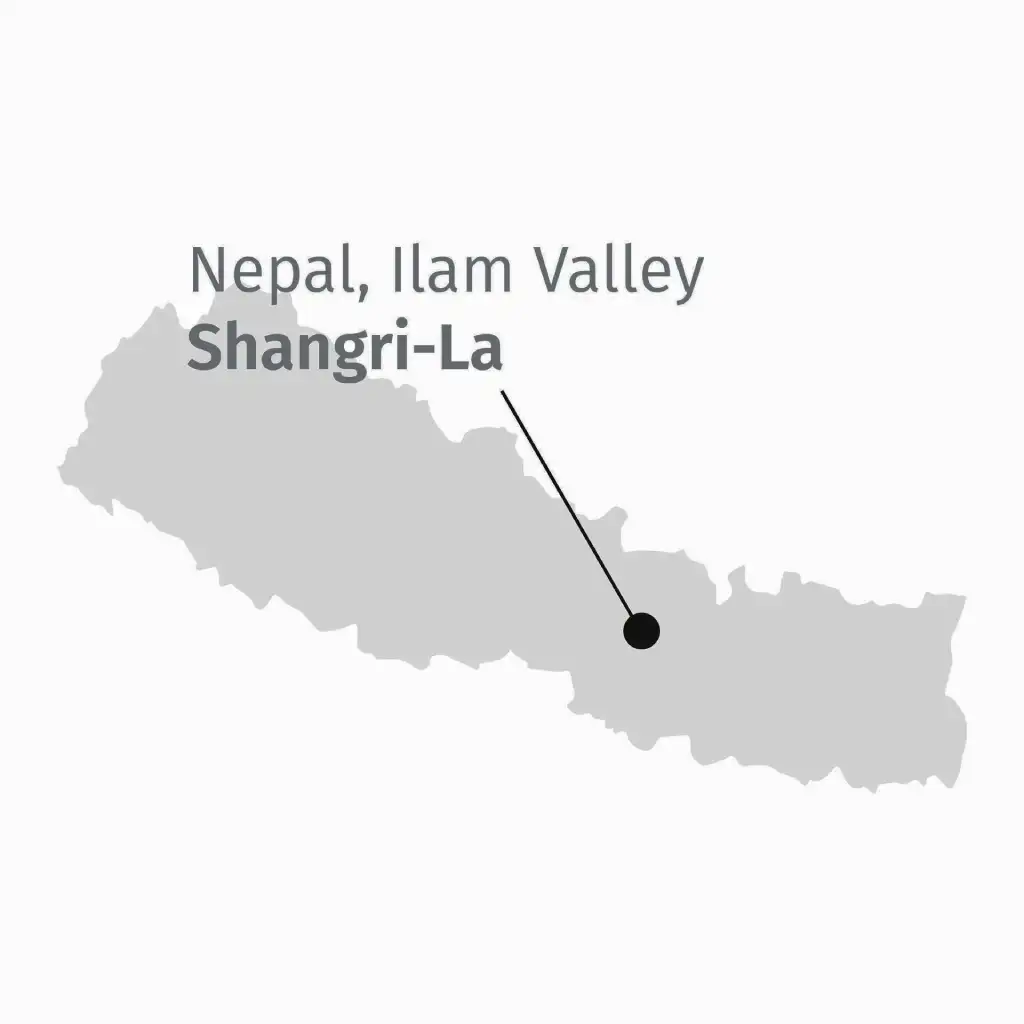 Himalayan Snow Mountain, tè bianco. Dettaglio della provenienza: mappa del Nepal Shangri-La