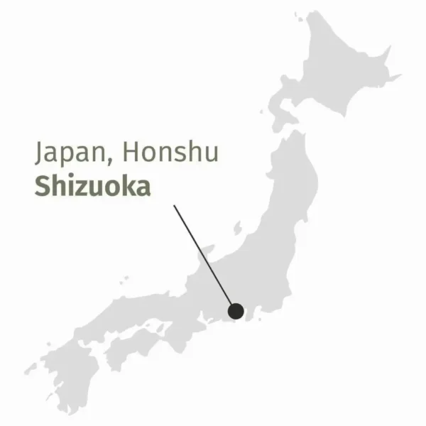 Shizuoka, Giappone, dove vengono prodotti tè in figlia biologici
