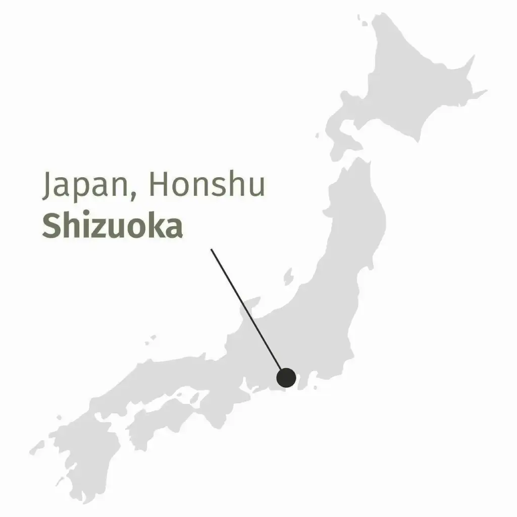 Shizuoka, Giappone, dove vengono prodotti tè in figlia biologici